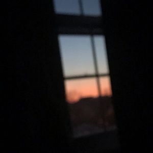 Meet your Posher, Molly